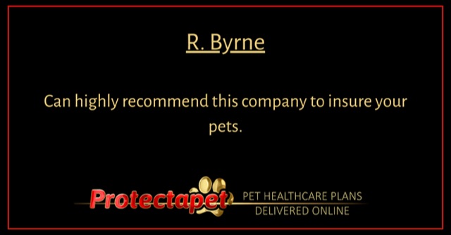 Later of recommendation for Protectapets customer service